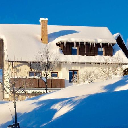 Apartments In Harrachov/Riesengebirge 2300 Eksteriør billede